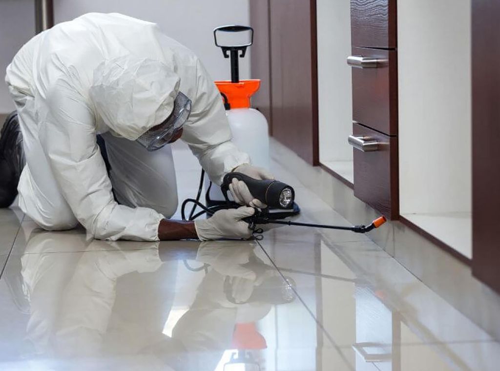 Ungeziefer-Entfernung und Schädlings-Diagnose