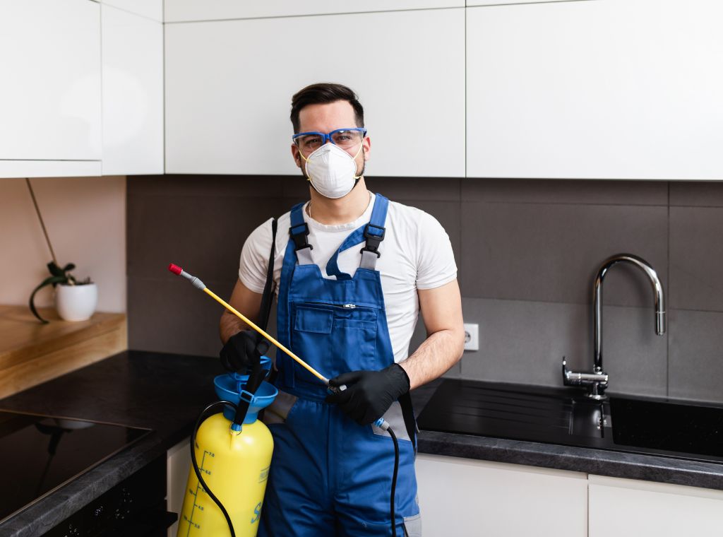 Professionelle Schädlingsbekämpfung - Ungeziefer entfernen und Kammerjäger in der Nähe